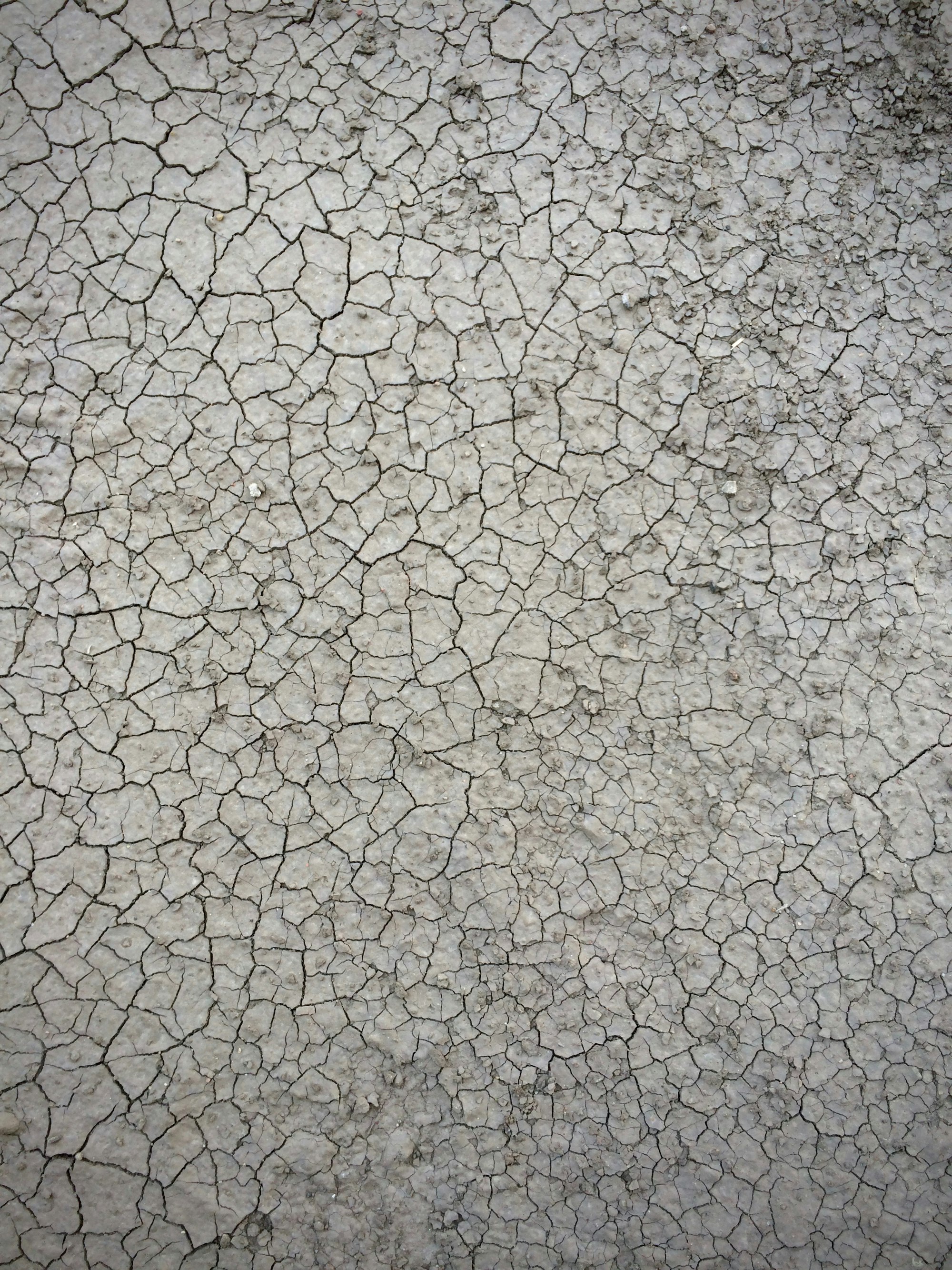 A close-up texture of cracked, dried earth