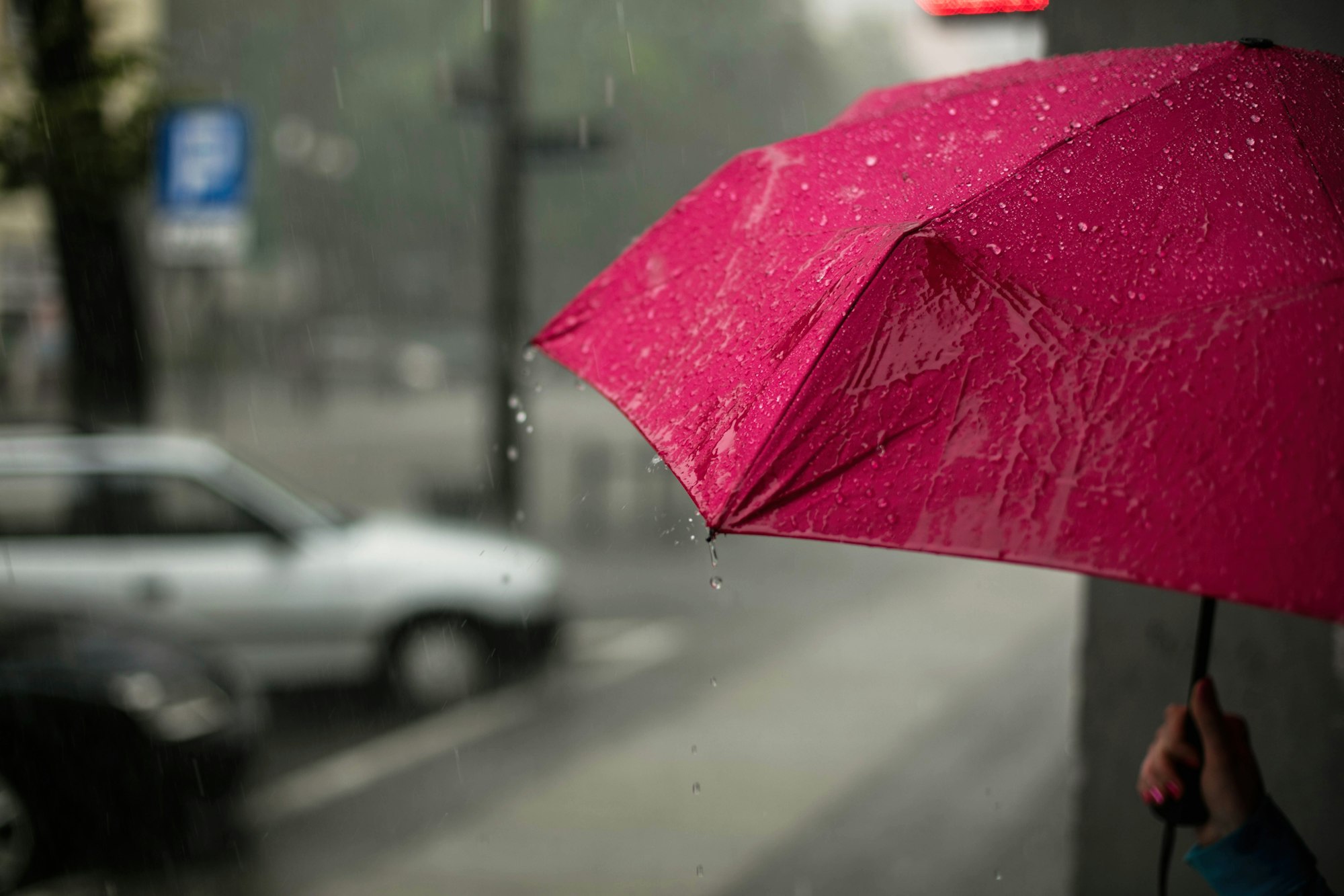 A pink umbrella in the rain on a city street